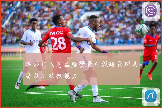 弗拉门戈总监盛赞费利佩路易斯具备欧洲执教能力