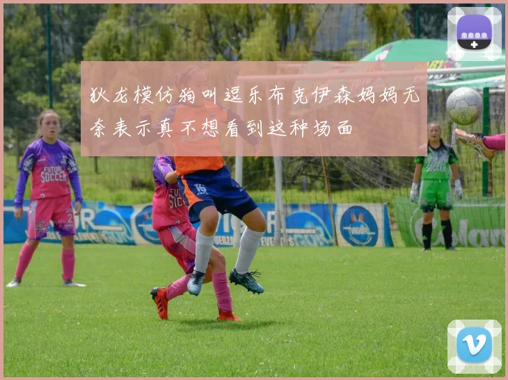 狄龙模仿狗叫逗乐布克伊森妈妈无奈表示真不想看到这种场面