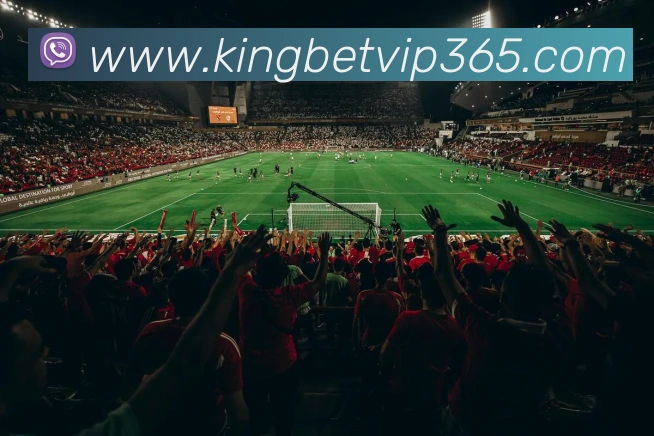 king体育APP 封面图